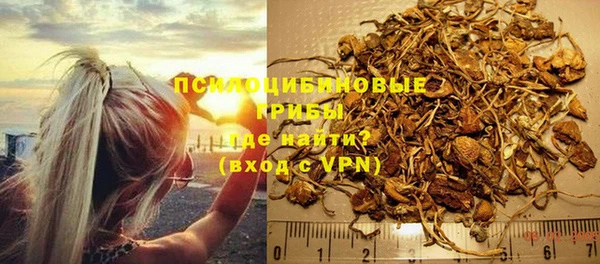 ГАЛЛЮЦИНОГЕННЫЕ ГРИБЫ Михайловка