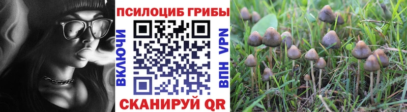 где купить наркоту Камызяк Псилоцибиновые грибы прущие грибы